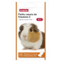vitamine c cochon d inde