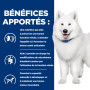 Chien K/D J/D+ Mobility Poulet