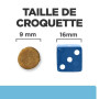 Chat K/D Early Stage Poulet