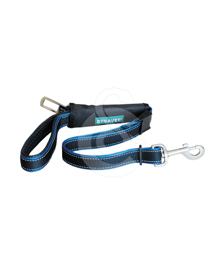 Laisse Security 2 en 1 : promenade / voiture