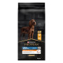 Pro Plan Dog Large Athletic Adult Everyday Nutrition Poulet