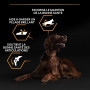 Pro Plan Dog Large Athletic Adult Everyday Nutrition Poulet