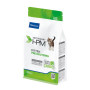 Veterinary HPM Cat Kitten Pre Neutered New
