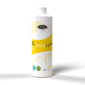Derm 14