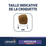 taille croquette chien senior