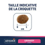 taille croquette chat urinary stress