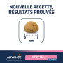 taille croquette chien atopic