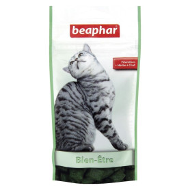 Friandises Bien Être pour chat à l'herbe à chat