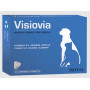 vitamine chien et chat
