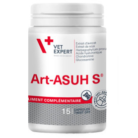 Art-Asu S - placedesvetos.com
