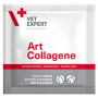 Art-Collagène