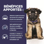 Chien i/d Digestive Care Puppy Poulet Boîte