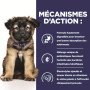 Chien i/d Digestive Care Puppy Poulet Boîte