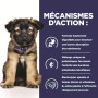 Chien i/d Digestive Care Puppy Poulet