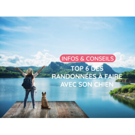 Conseil : Top 6 des randonnées avec son chien