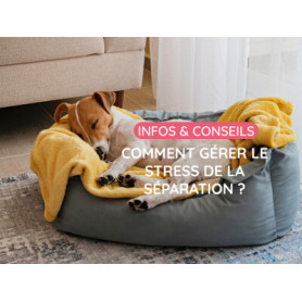 Conseil : Comment gérer le stress de la séparation ?