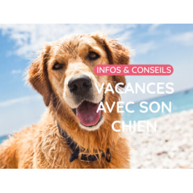 Conseil : Les plages autorisées aux chiens en France