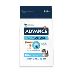 alimentation sec jeune chat poulet