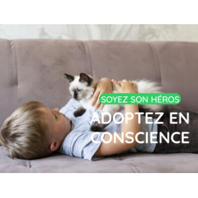 Conseil : adoptez en conscience