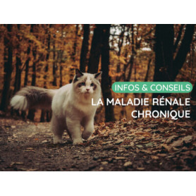 Conseil : La maladie rénale chronique (MRC)