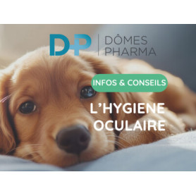 Conseil : L'hygiène oculaire chez le chien