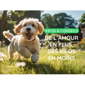 Conseil : Chat ou chien obèse, comment l'aider à perdre du poids ?