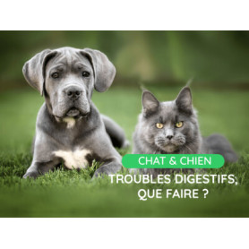 Conseil : Vos animaux ont des flatulences ou des selles molles ? Que faire ?
