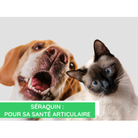 Conseil : Seraquin pour la santé articulaire de votre animal