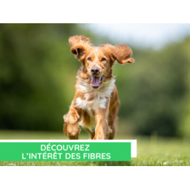 Conseil : L'intérêt des fibres