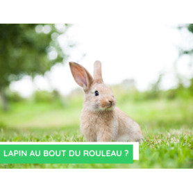 Conseil : Lapin au bout du rouleau ?