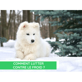 Conseil : Comment lutter contre le froid ?