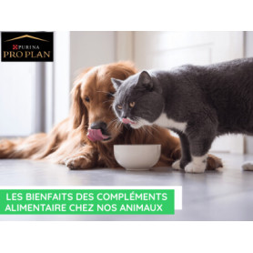 Conseil : Les bienfaits des compléments alimentaires chez nos animaux