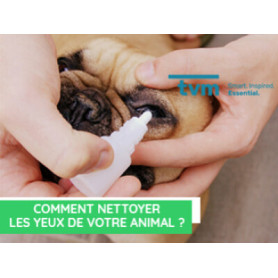 Conseil : Comment nettoyer les yeux de votre animal ?