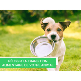 Conseil : Réussir la transition alimentaire de votre animal