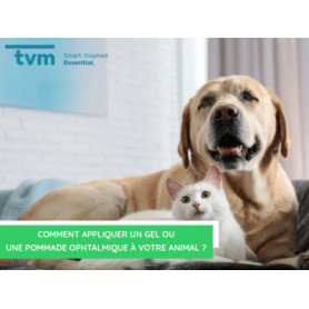 Conseil : Comment appliquer un gel ou une pommade ophtalmique à votre animal ?