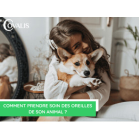 Conseil : Comment prendre soin des oreilles de son animal ?