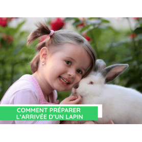 Conseil : Comment préparer l'arrivée d'un lapin ?