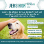 Versikor 1250 mg Chien