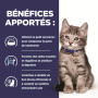 Chat i/d Digestive Care Kitten Poulet Sachet repas