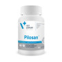 Pilosan