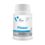 Pilosan