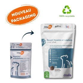 Easypill Chat Resolvin Articulations