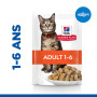 Chat Adult Poisson de l'océan Sachet repas