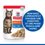 Chat Adult Poisson de l'océan Sachet repas