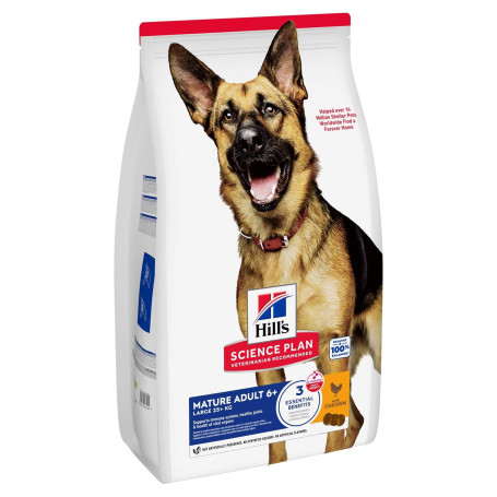 Chien Mature Adult 6+ Large Breed Poulet