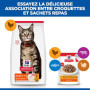 Chat Adult Poulet