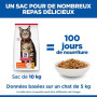 Chat Adult Poulet
