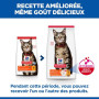 Chat Adult Poulet