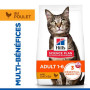 Chat Adult Poulet