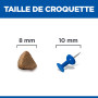 taille croquette chaton hill's